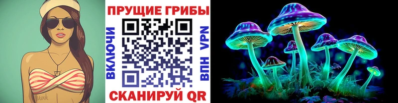 что такое   ссылка на мегу как войти  Псилоцибиновые грибы мицелий  Судак 